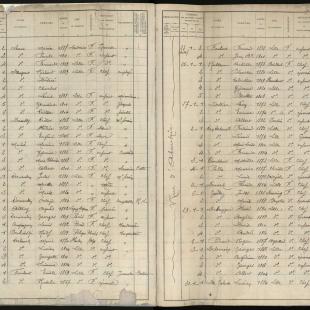 Twee bladzijden van de volkstelling van 1921 van de stad Rijsel.